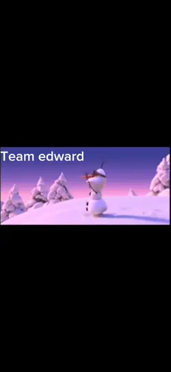 Twillight team's 