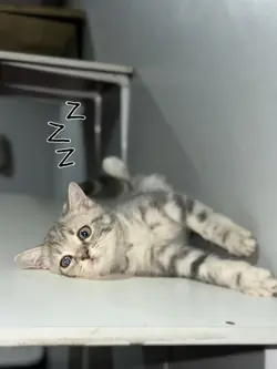 จะนอนแต่แม่ชอบปลุก😅 