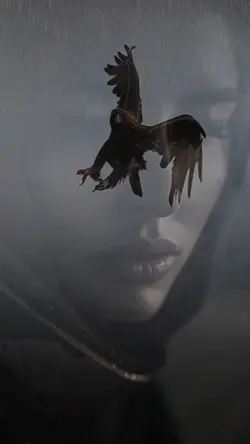 BIRD OF PRAY