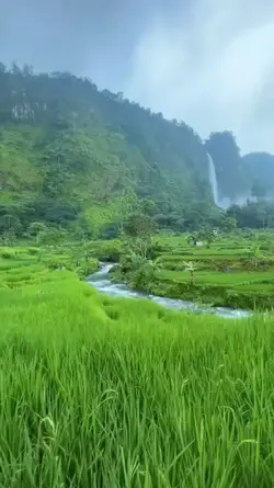 Hati Tergores Cinta