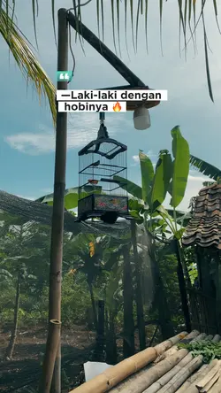 Hobinya laki laki