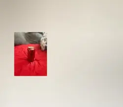 beans