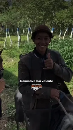 Vaquejada De Luxo