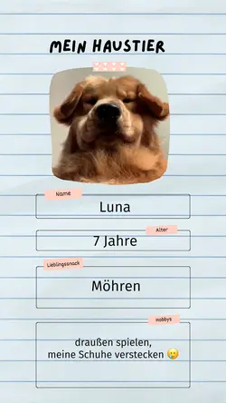 Steckbrief Haustier