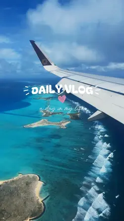Daily vlog