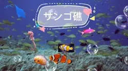 サンゴ礁