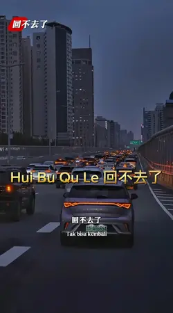 Hui Bu Qu Le 回不去了