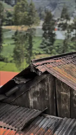 SUDAH PAHAMKAN SEJAU