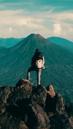 5 clips video nature