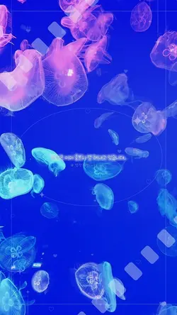 002 : 잡음 많네요ㅜㅜ