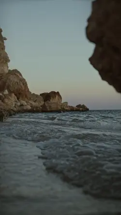 L’artiste - Chocolat