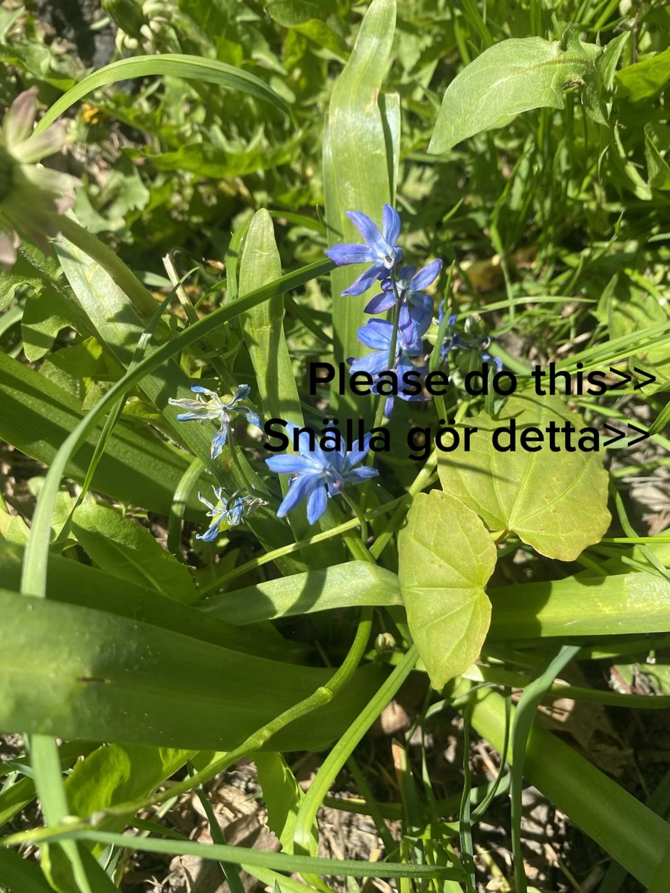 ❤️❤️❤️❤️❤️❤️