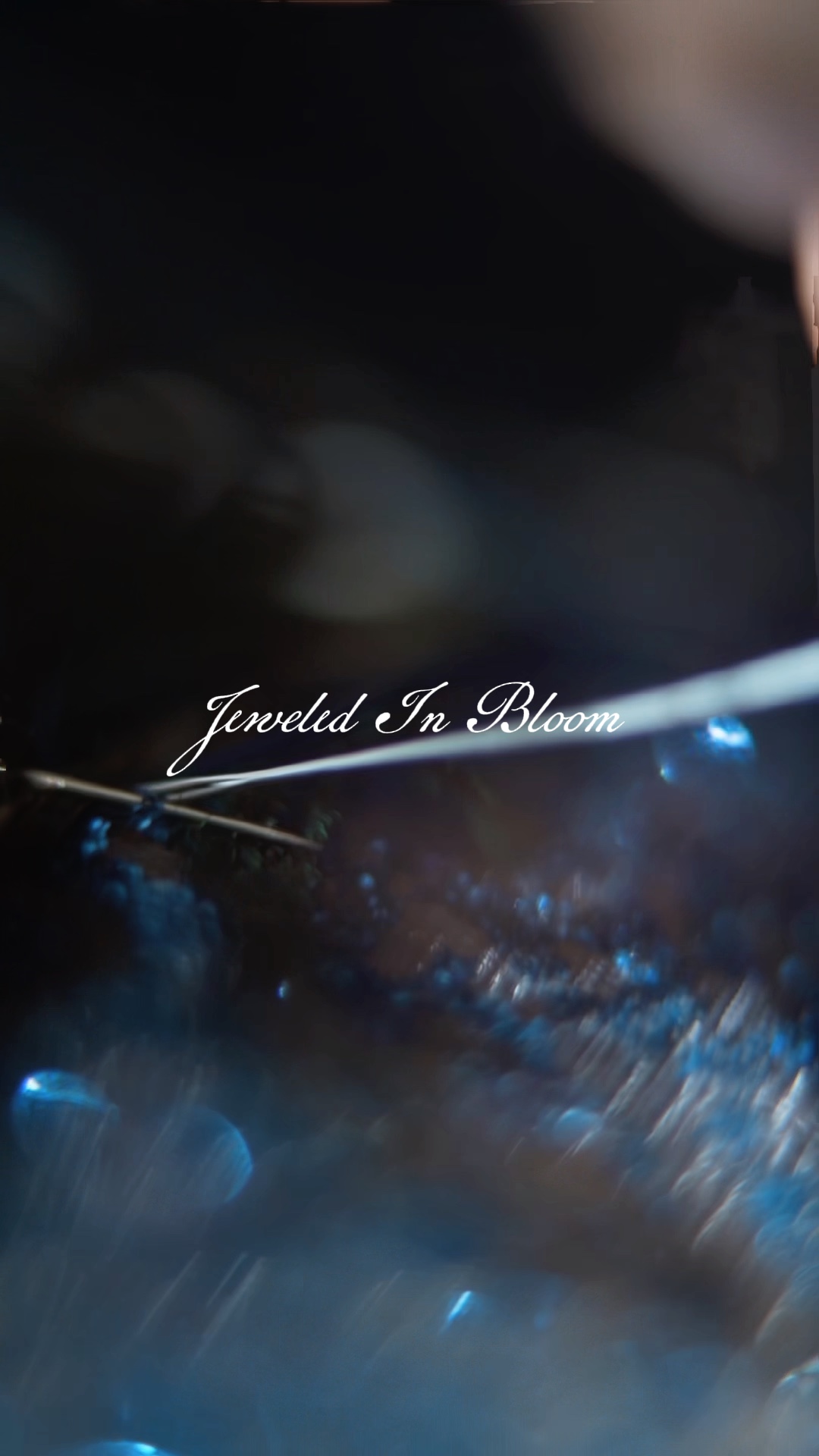 Teaser fashion video