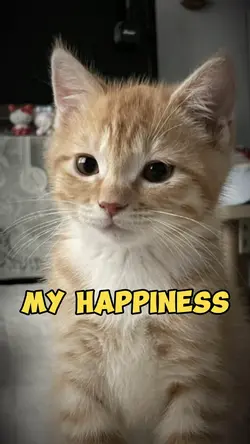 My happiness 