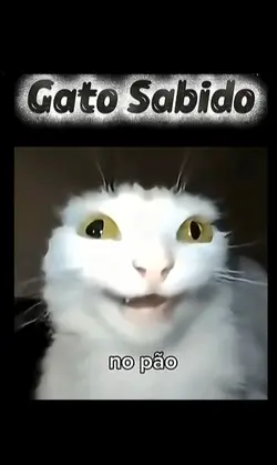 hdududhdb