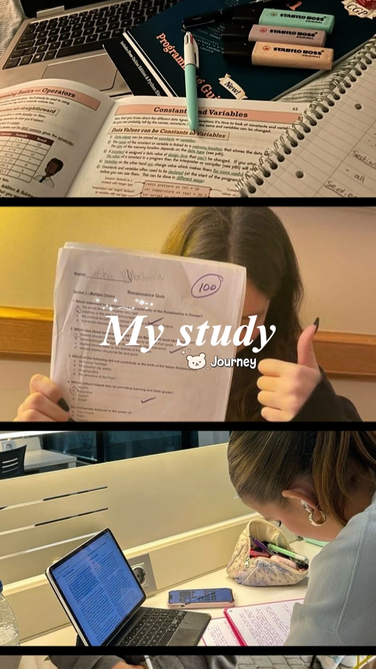 Mi viaje de estudio