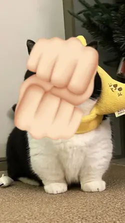emoji hand trend