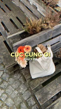 Cục Cưng Ơi