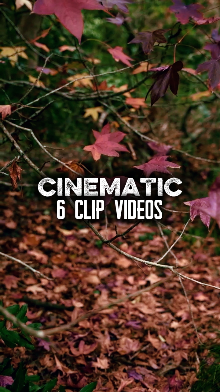 6 clip videos
