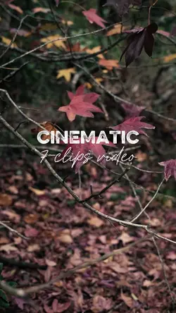 Cinematic 7 clips