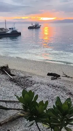 lifehurtsnatureheals