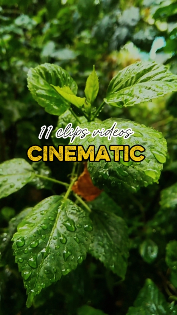CINEMATIC 11 CLIPS 