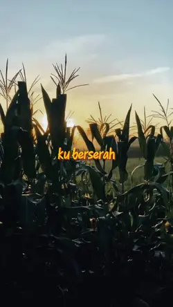 ku berserah