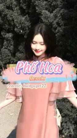 Phố Hoa - remix