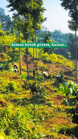 Kita Usahakan Lagi