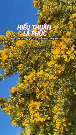 Hiếu thuận là phúc🙏