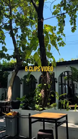 6 Clips video
