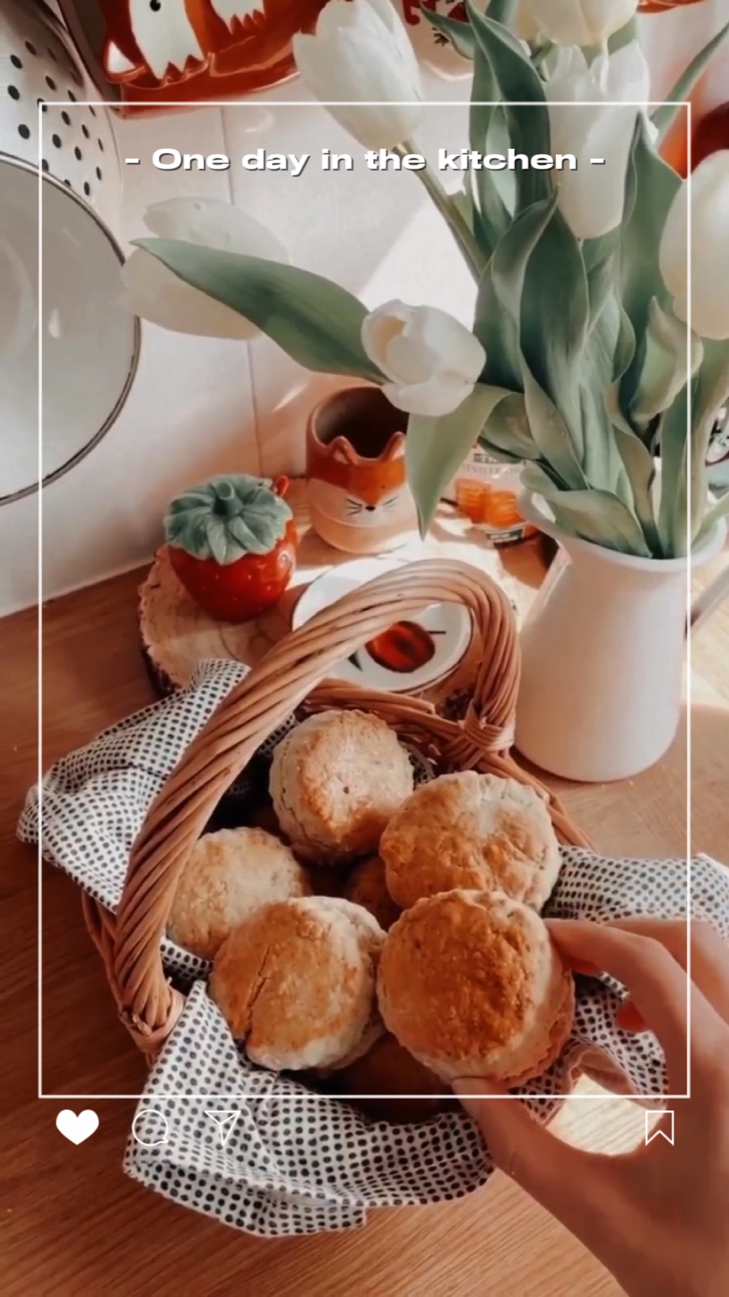 daily vlog cooking