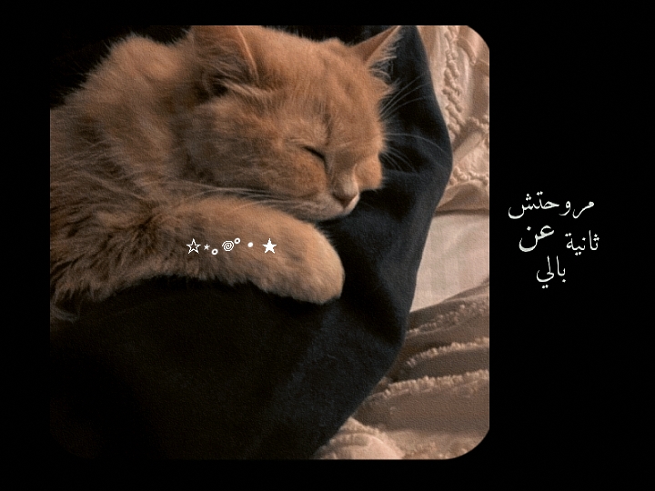 bahasa arab 