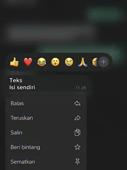 Teks isi sendiri