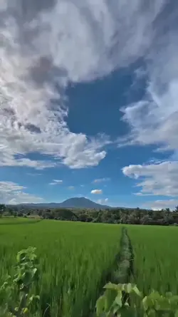 STORY WA