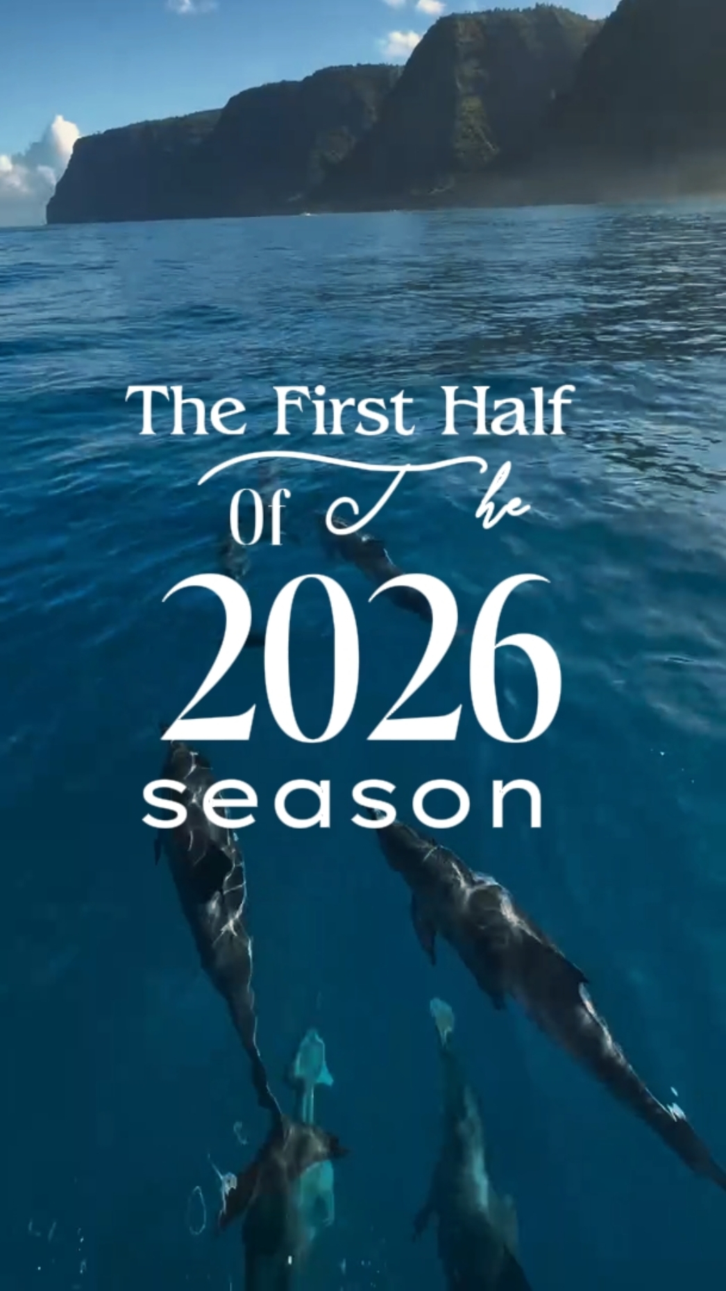 2026 sezonu 
