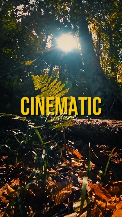 NATURE CINÉMATIQUE