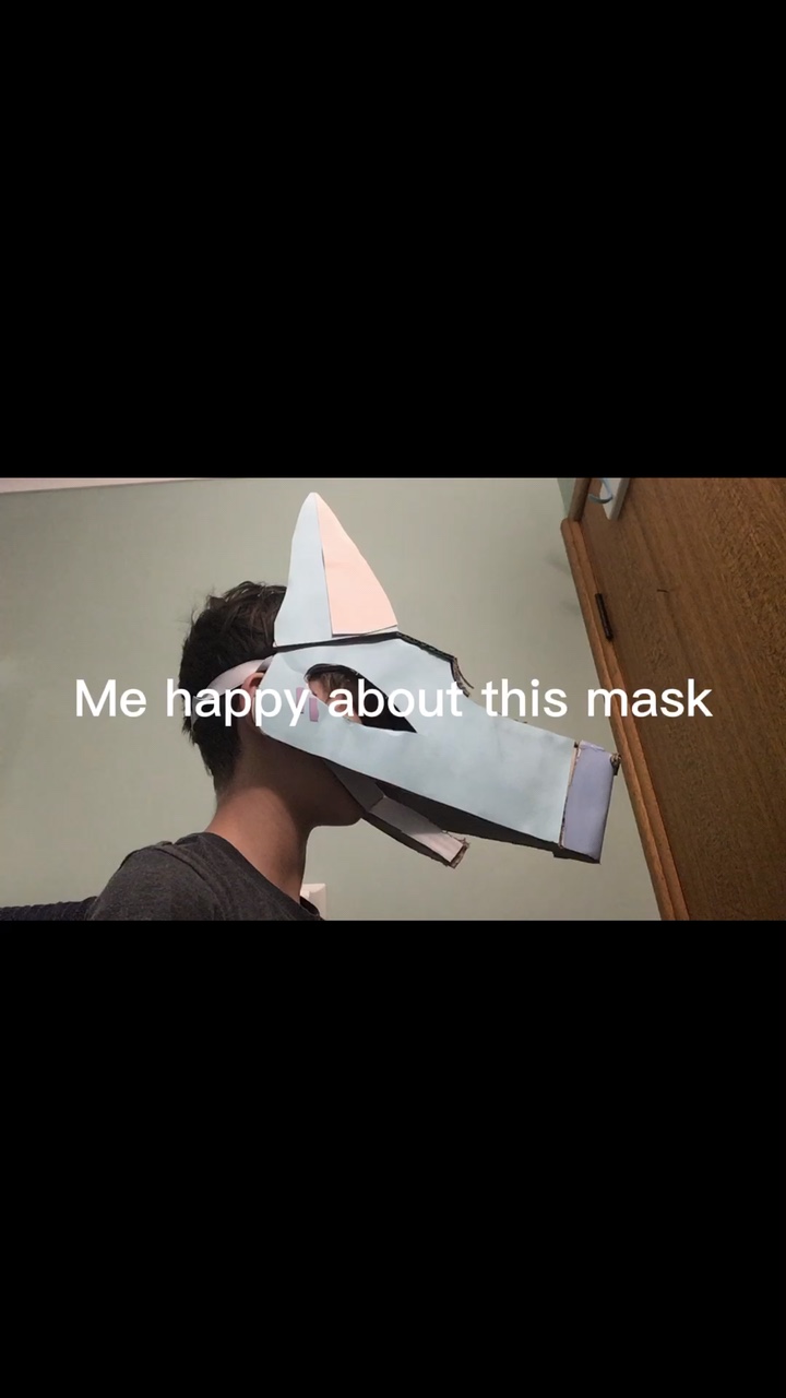 Masks be like
