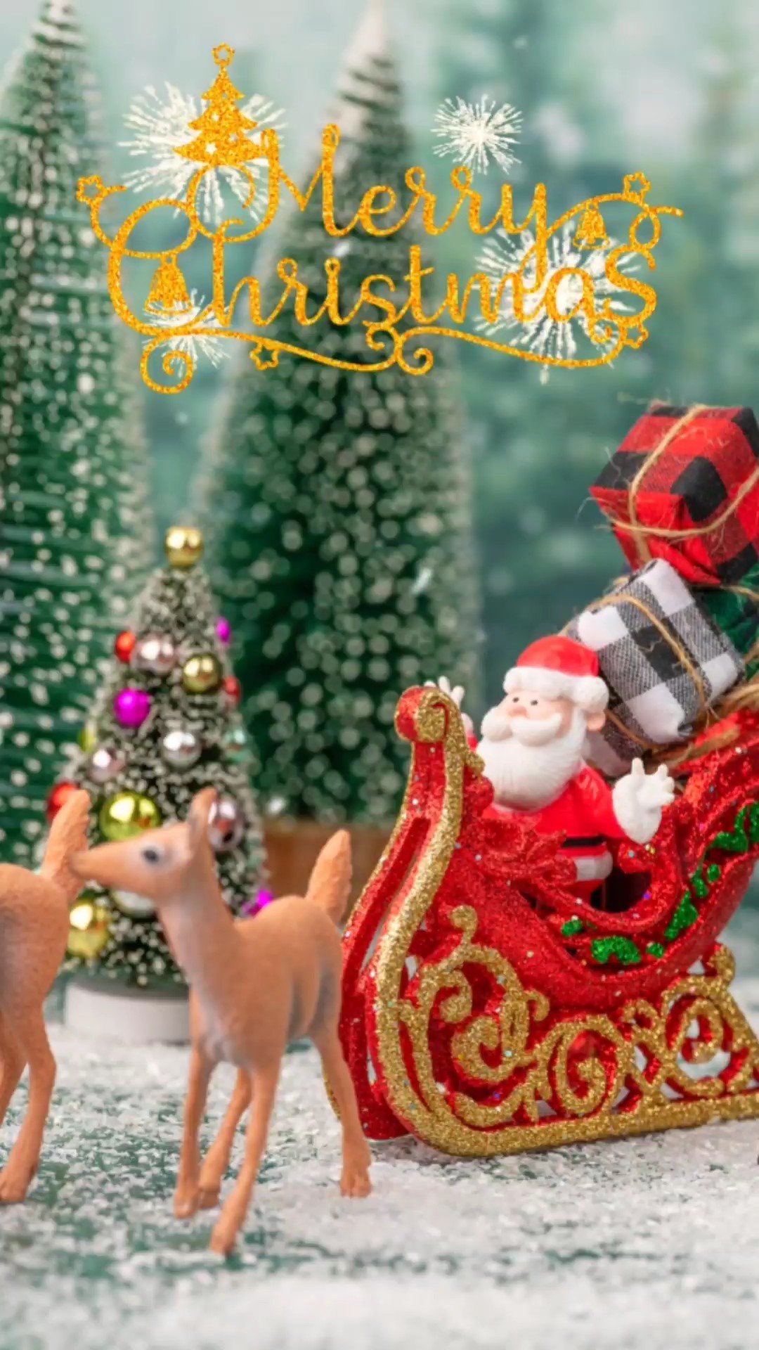 MERRY CHRISTMAS