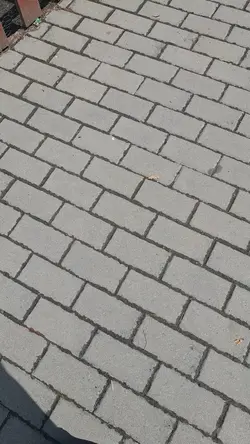 Să mă las?