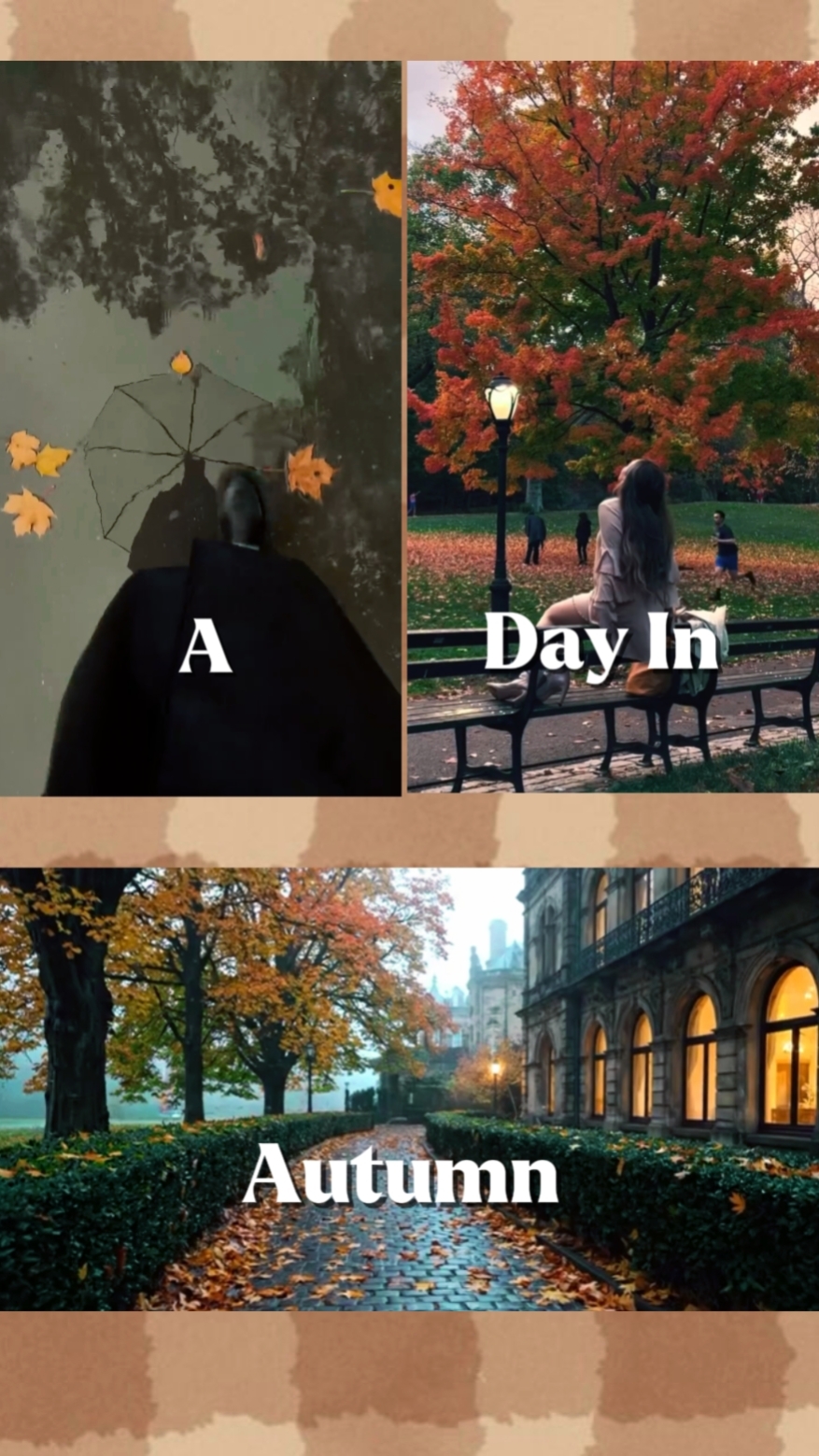 autumn vibes ⋆. 𐙚 ˚