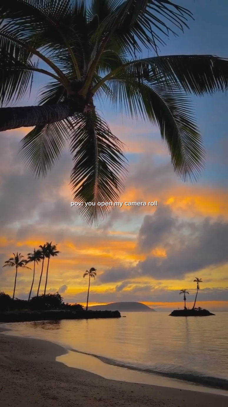 summer: camera roll