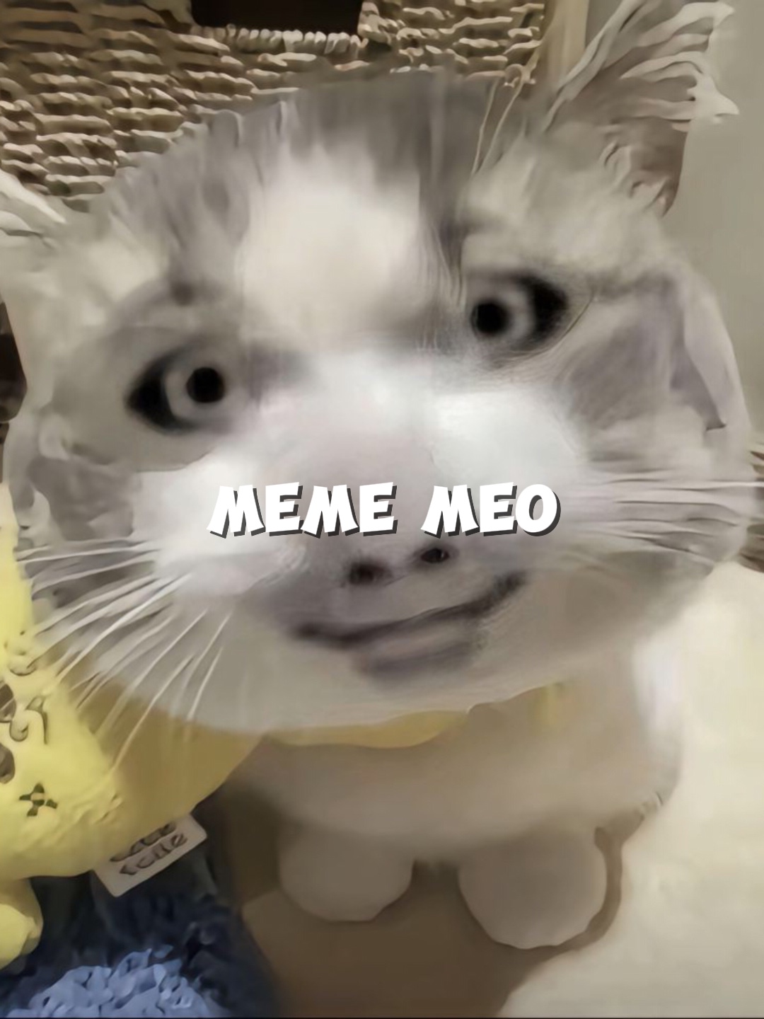 Mu meme mèo hài