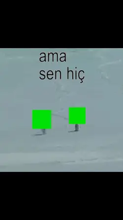 Yalnız Penguen :(