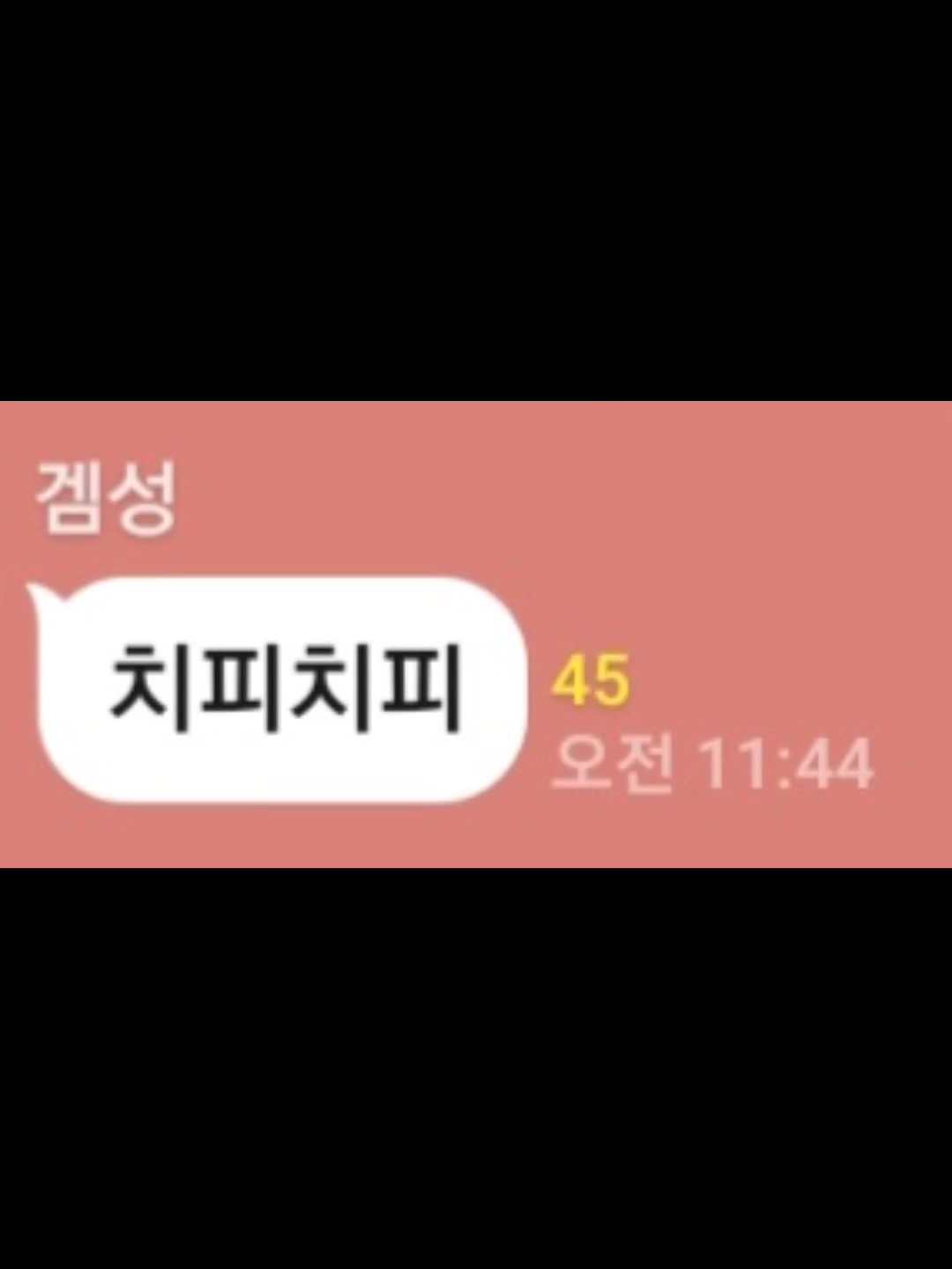 치피치피 차파차파