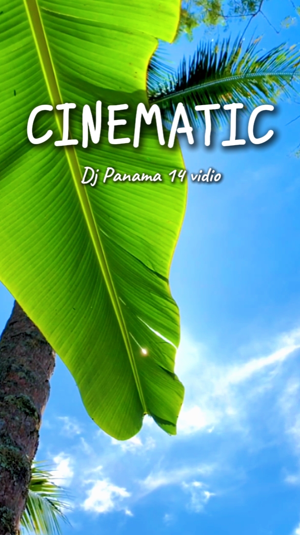 14 vidio dj panamá