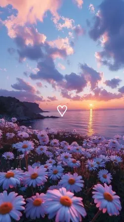 paysages <3