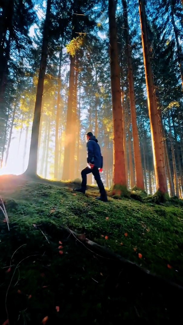 4 video aesthetic
