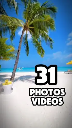 31 photos or videos 