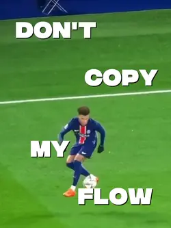 Don't copy my flow 